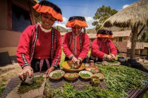 Holidays south america peru vacations