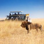 Best safari destinations 2025