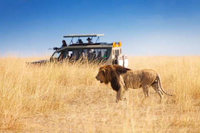 Best safari destinations 2025