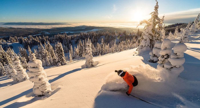 Skiing relieve Skiing relieve